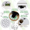 Creative - Automatic Savings Box